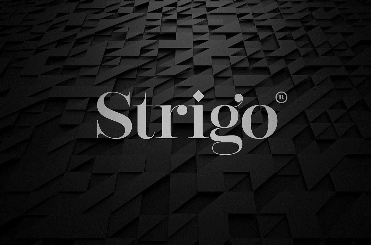 Strigo服裝企業(yè)品牌設計