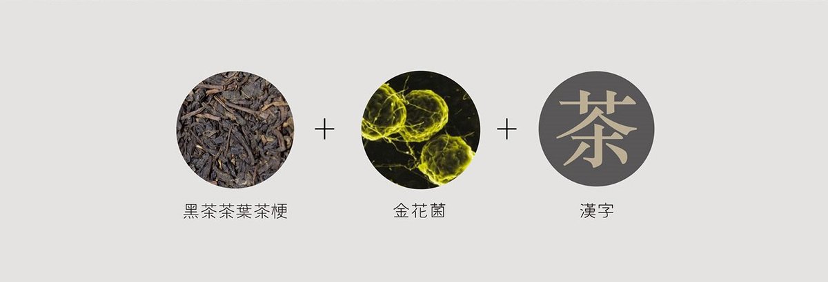 菌茶茶葉品牌設(shè)計  標(biāo)志設(shè)計說明