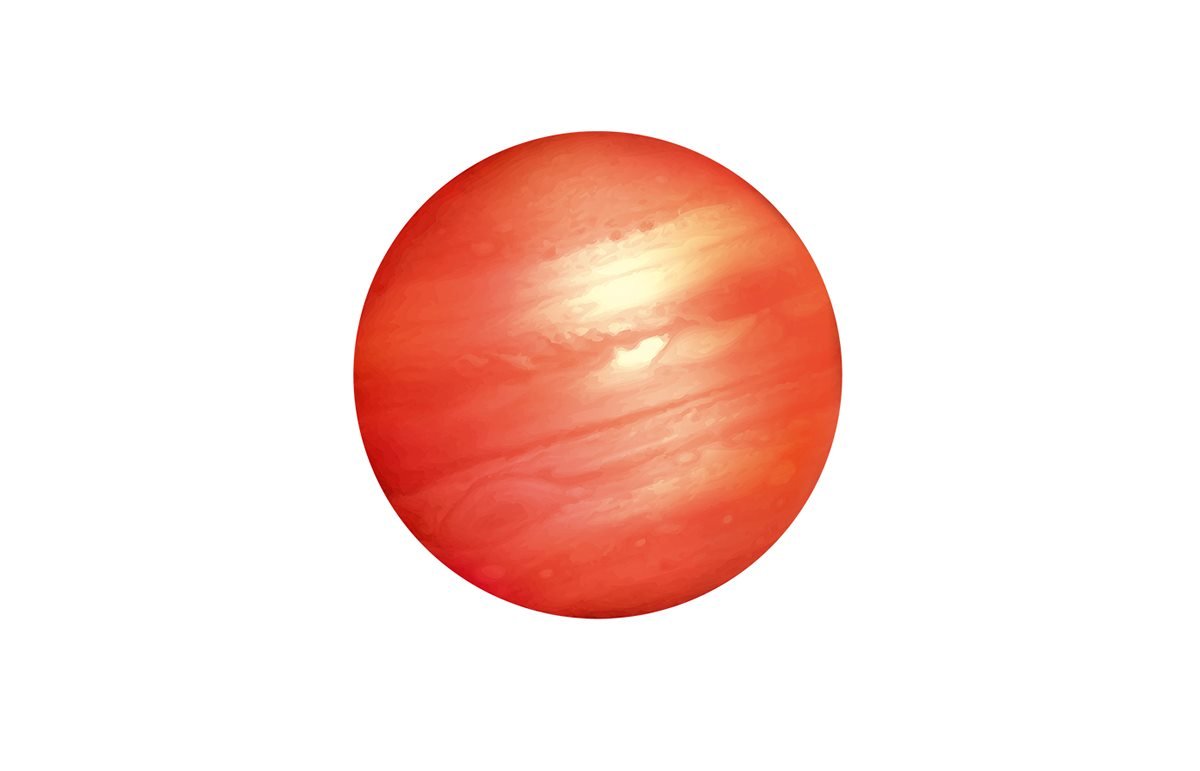 柑橘網(wǎng)站VI識別系統(tǒng)  標(biāo)志設(shè)計