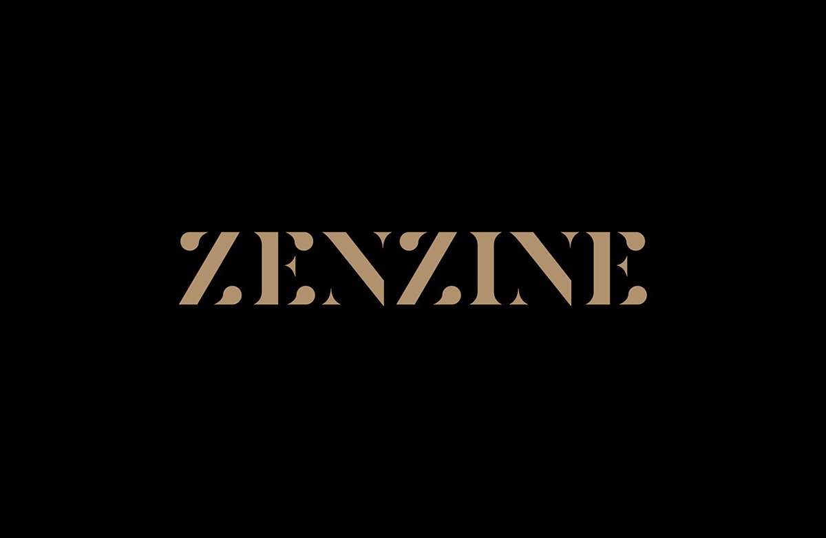 Zenzine畫冊VI形象設計展示  標志設計