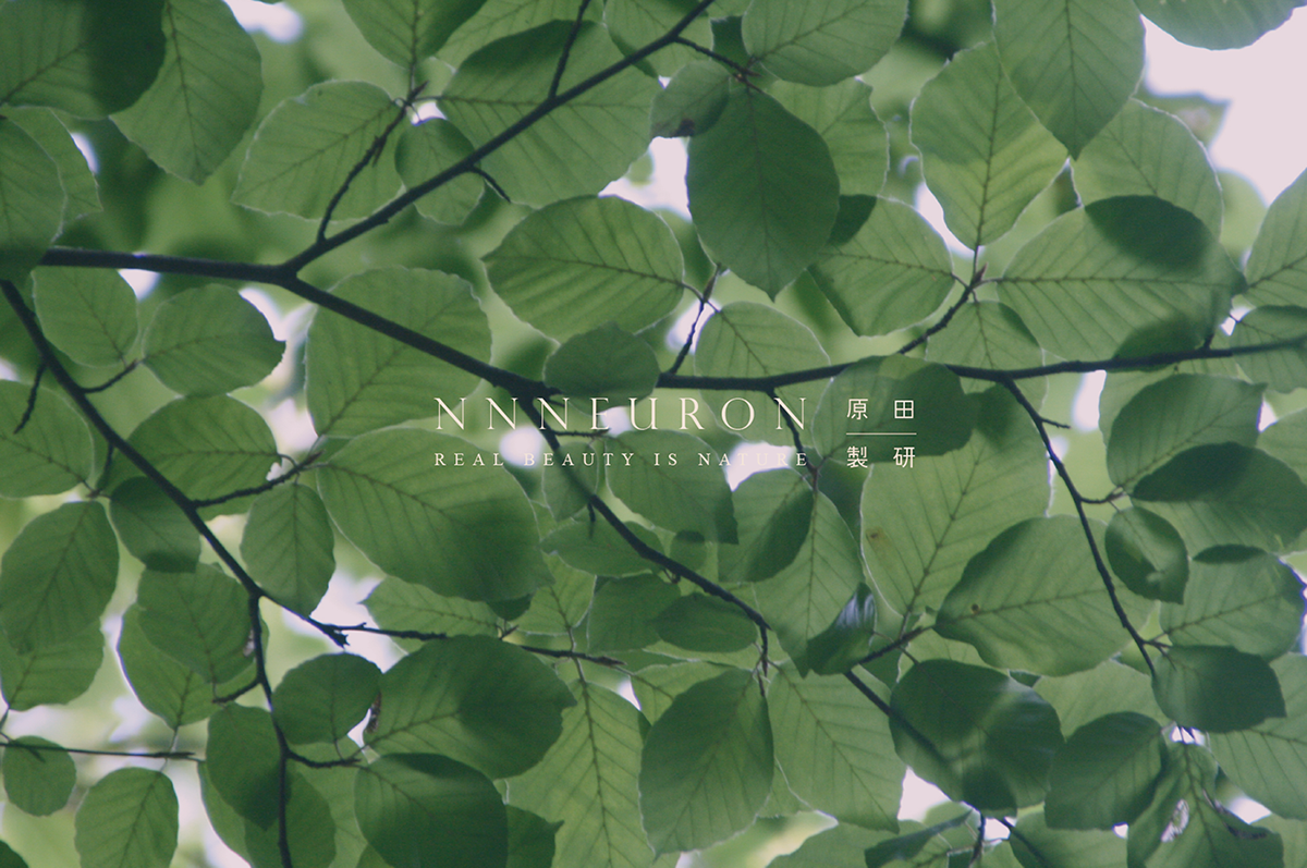 深圳VI設計  深圳VI策劃  NNNEURON原田制研保養品VI形象  標志設計