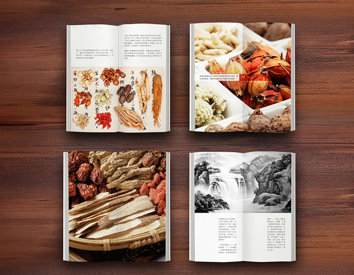 品牌設計、標志設計、品牌形象設計、包裝設計、畫冊設計