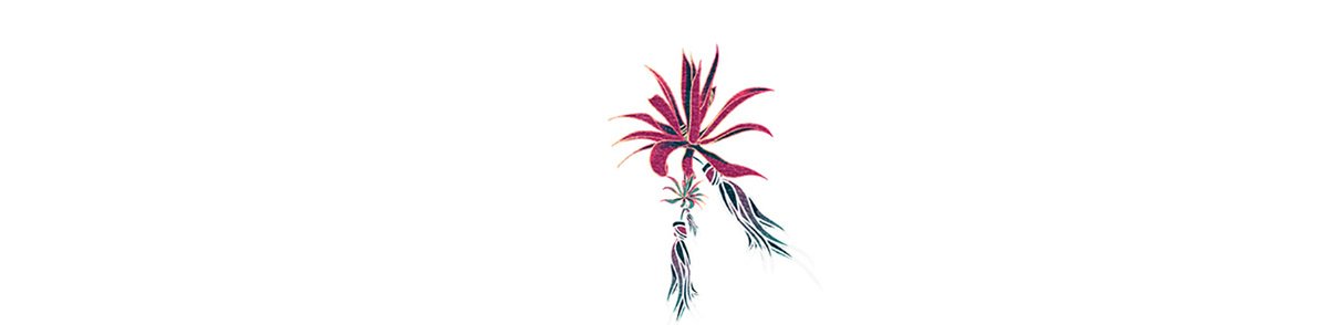 越南蜜餞食品 Nhà 品牌包裝vi設(shè)計，vi設(shè)計，視覺形象vi設(shè)計，食品vi設(shè)計，品牌包裝設(shè)計，蜜餞食品品牌vi設(shè)計，vi品牌策劃，深圳vi設(shè)計，左右格局