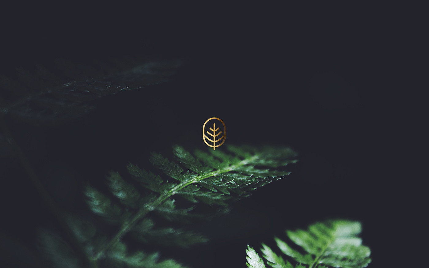 著名國外醫(yī)療機構(gòu)vi設(shè)計——企業(yè)logo識別系統(tǒng)展示，醫(yī)療企業(yè)vi設(shè)計，企業(yè)logo設(shè)計，品牌策劃，深圳vi設(shè)計，左右格局