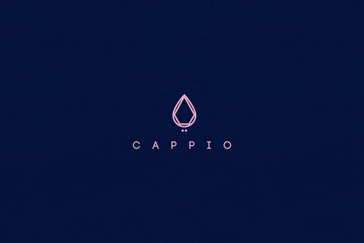 Cappio 服裝珠寶企業品牌全案策劃案例，服裝VI設計，品牌全案策劃，企業形象設計，深圳VI設計，左右格局