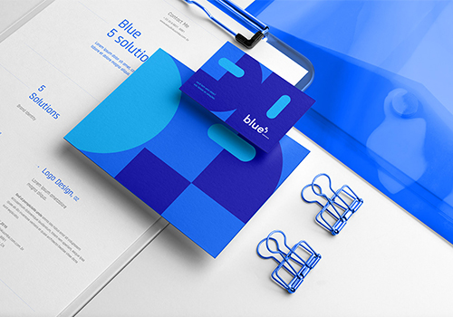Blue 5 Solutions 網(wǎng)絡科技機構(gòu)品牌VI視覺設計