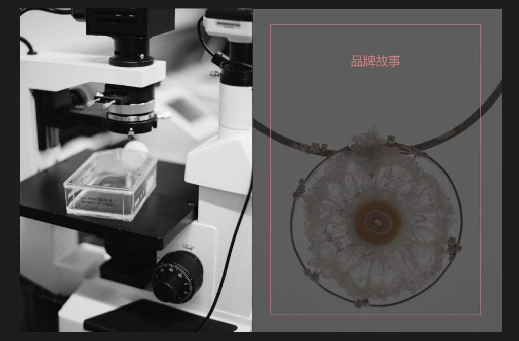 Vsense，從0到1的時尚品牌孵化